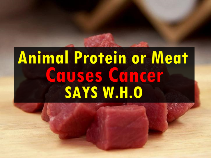 Animal Protein or Meat Causes Cancer Says W.H.O